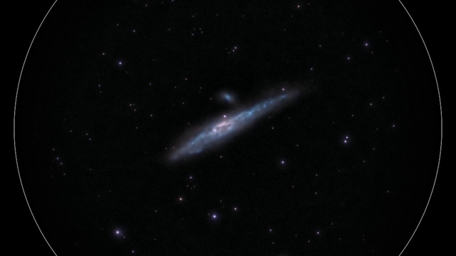 NGC4631 - Galaxie de la Baleine du 24 avril 2026