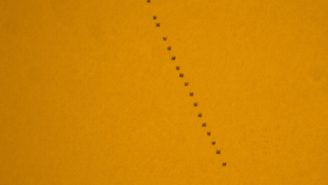 ISS 2019-02-17